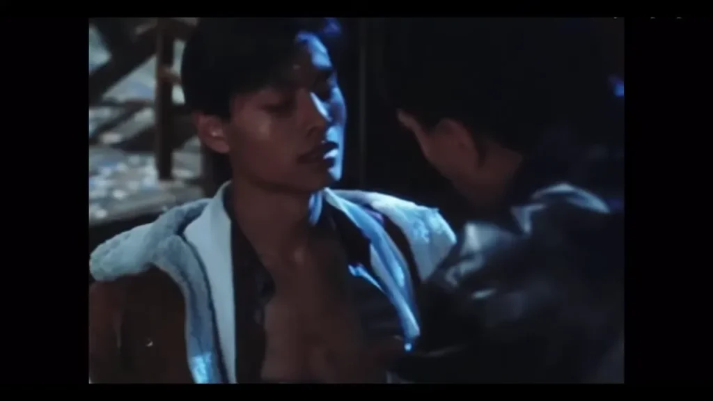 Gay Chinese Movies: 18 Essential LGBTQ+ Films from China, Taiwan, and Hong Kong 19 %E4%B8%9C%E5%AE%AB%E8%A5%BF%E5%AE%AB East Palace West Palace 1996 0 17 screenshot